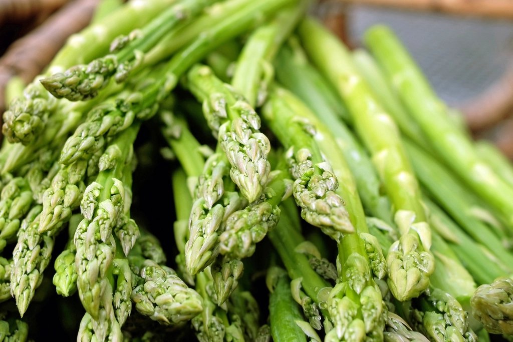Home 18 Fresh green asparagus spears